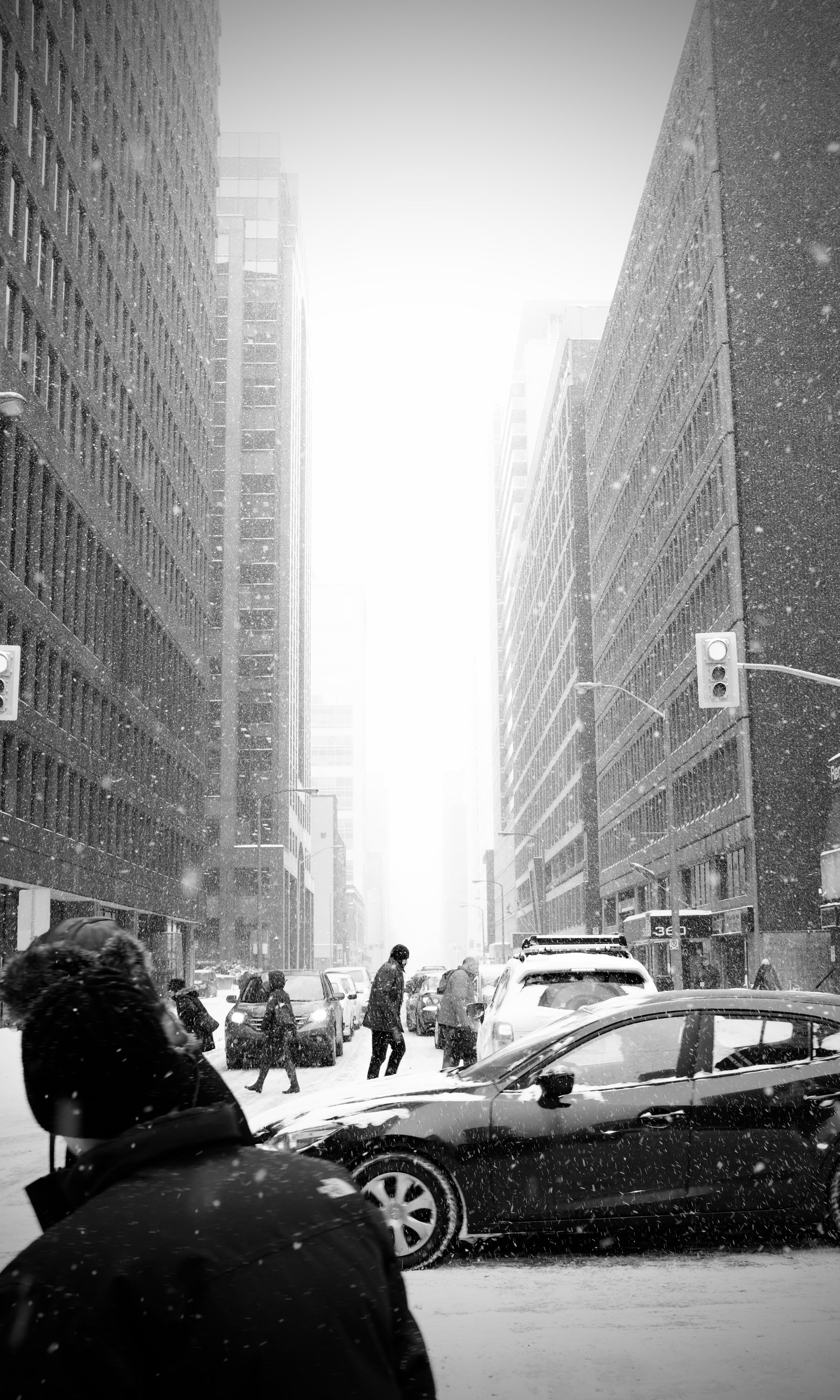 Winter Fragrances
