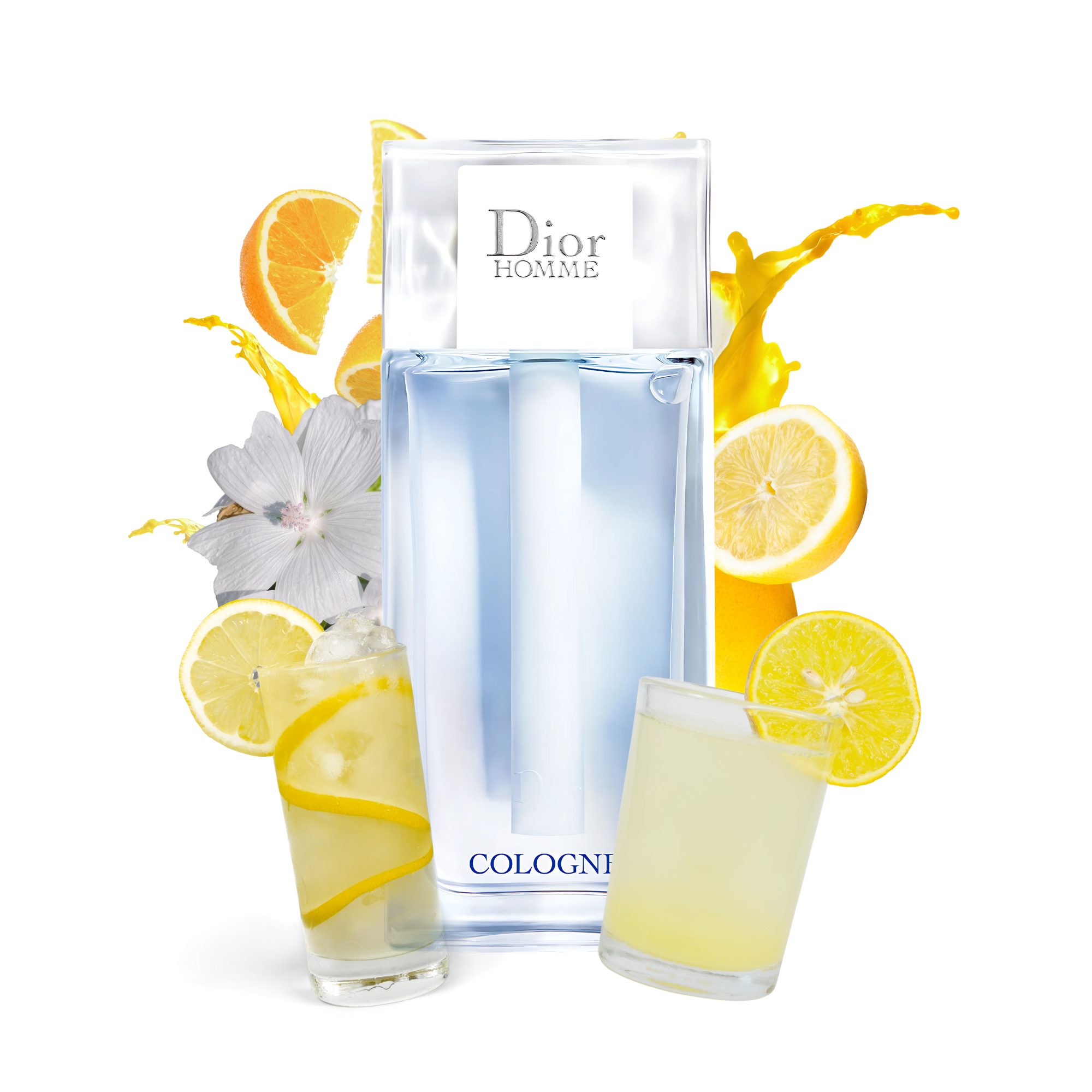Dior Homme Cologne