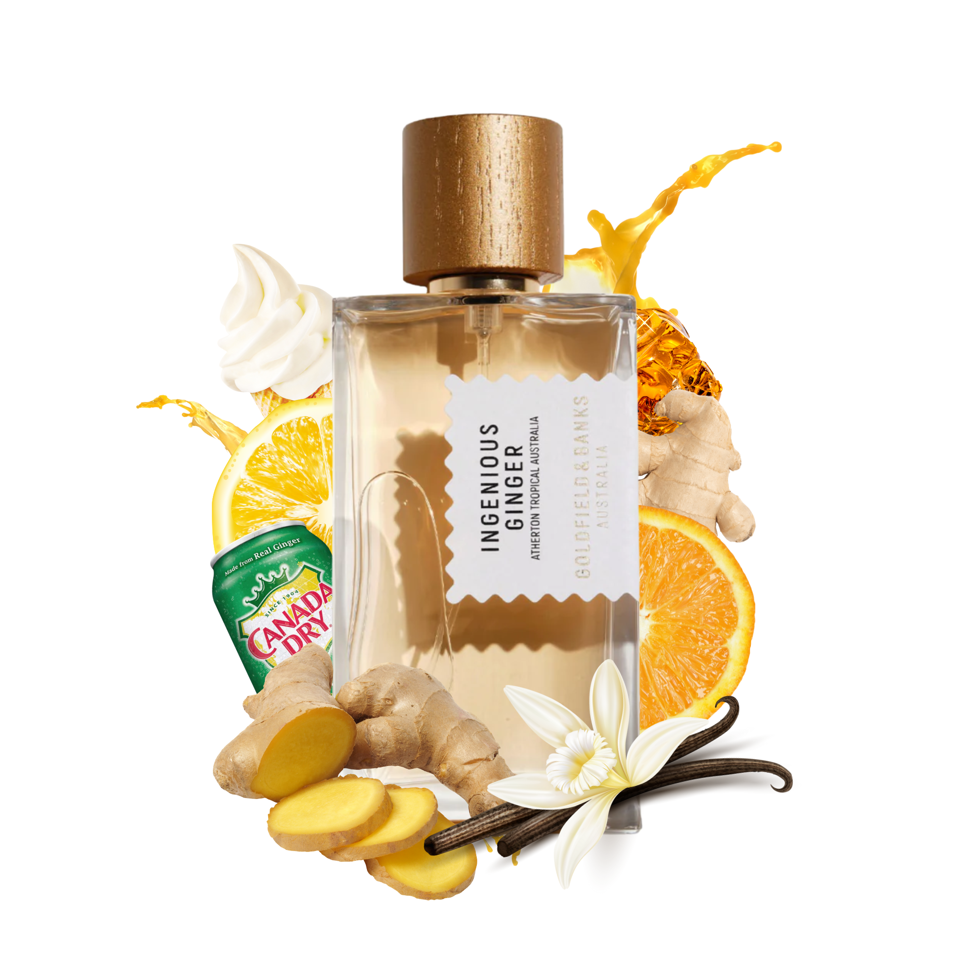 Goldfield & Banks Ingenious Ginger